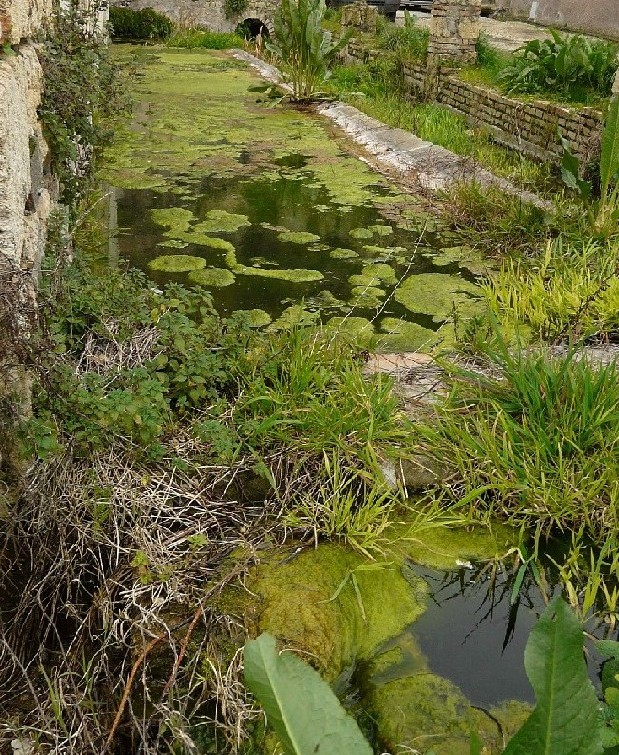 Fontanili del Lazio